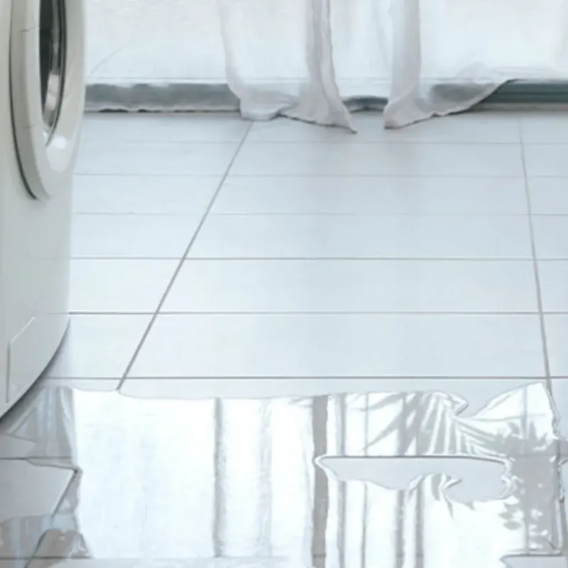 Appliance Leak Cleanup in Huron County, MI