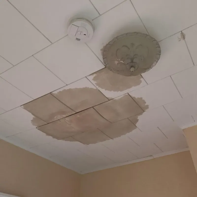 Ceiling Water Damage Repair in Huron County, MI