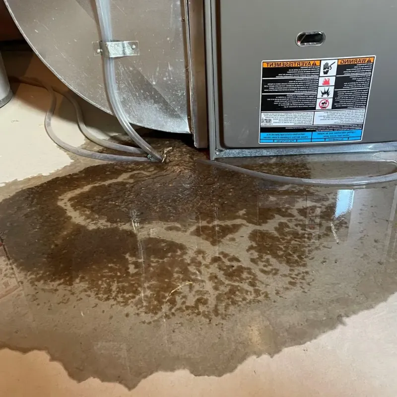 Pipe Burst and Leak Restoration in Huron County, MI
