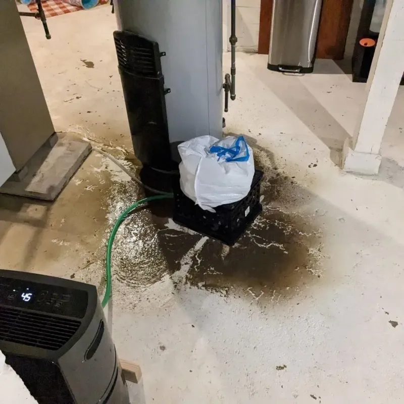 Sewage Backup Cleanup Service in Huron County, MI